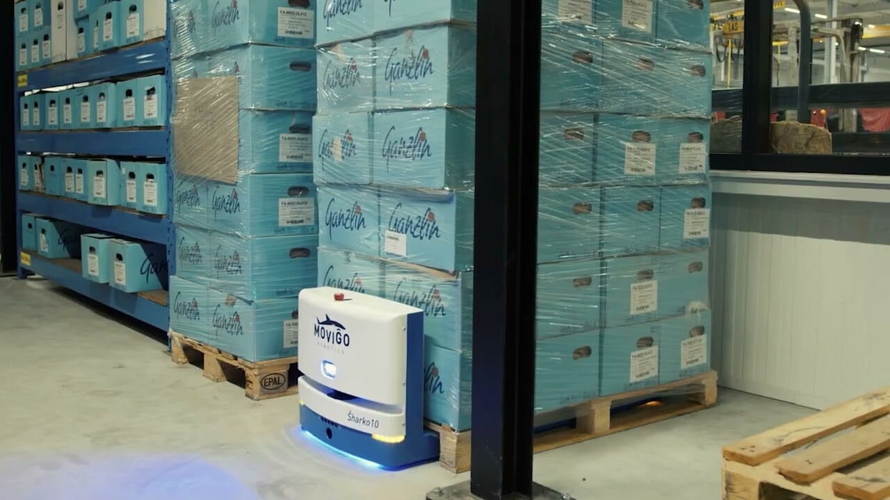 Robotic transport machine moving pallets in a warehouse